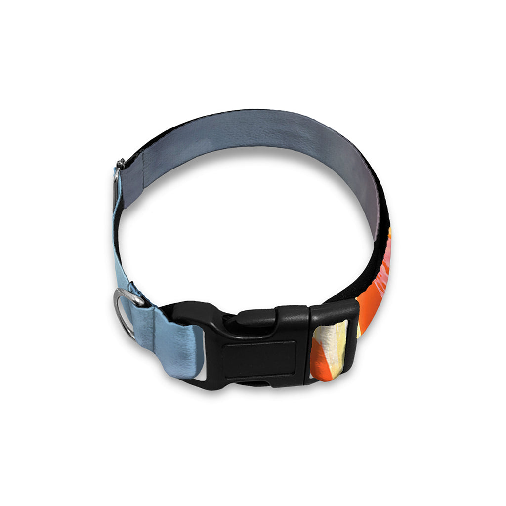 Erupting Volcano Print Dog Collar