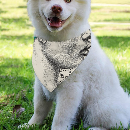 Ethnic African Girl Print Over The Collar Dog Bandana