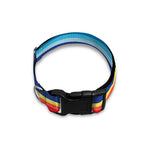 Ethnic Mexican Serape Pattern Print Dog Collar