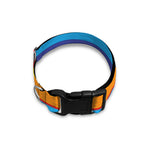 Ethnic Mexican Woven Pattern Print Dog Collar
