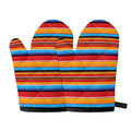 Ethnic Mexican Woven Pattern Print Oven Mitts