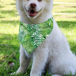 Exotic Tropical Leaf Pattern Print Over The Collar Dog Bandana