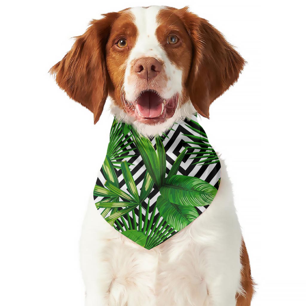 Exotic Tropical Leaves Pattern Print Dog Bandana