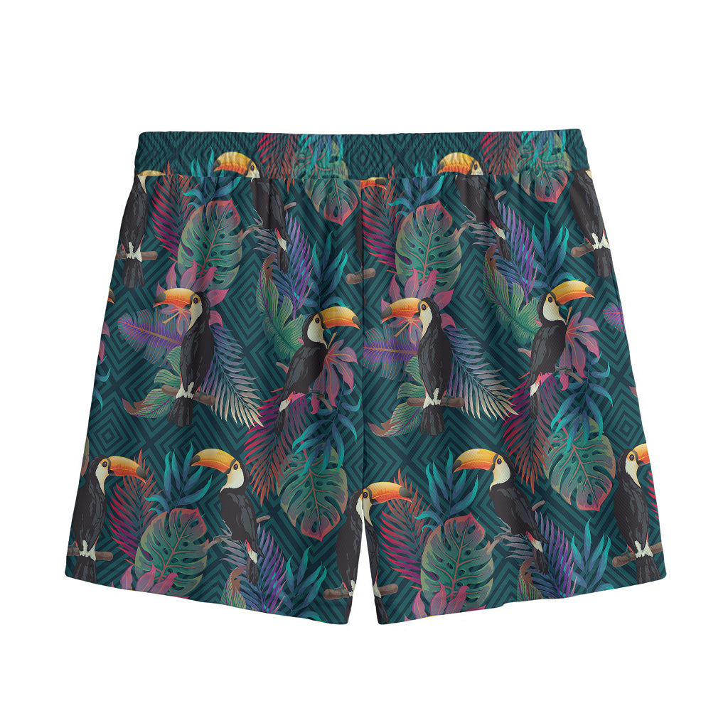 Exotic Tropical Toucan Pattern Print Mesh Shorts