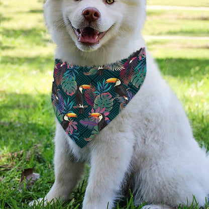 Exotic Tropical Toucan Pattern Print Over The Collar Dog Bandana