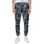 Exotic Tropical Toucan Pattern Print Scuba Joggers