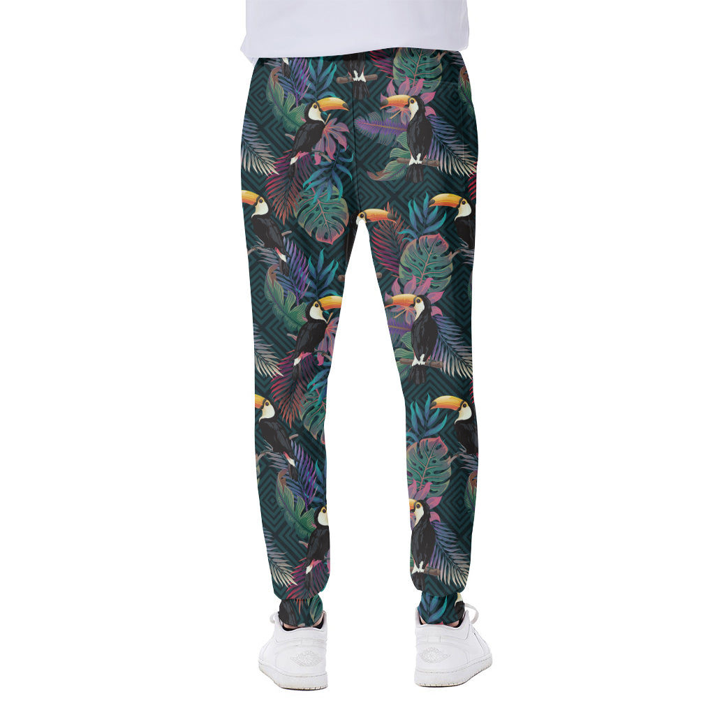 Exotic Tropical Toucan Pattern Print Scuba Joggers
