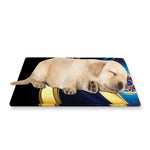 Eye Of Horus Amulet Print Pet Cooling Mat Cover