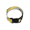 Eye Of Horus Symbol Print Dog Collar