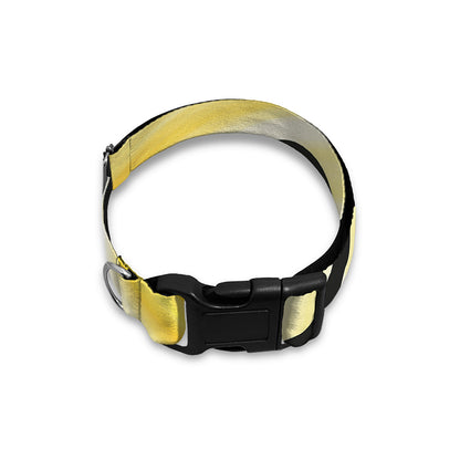 Eye Of Horus Symbol Print Dog Collar