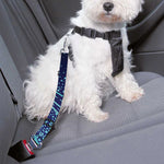 Eye of Providence Flower Print Dog Seat Belt