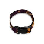 Eye of Providence Mandala Print Dog Collar