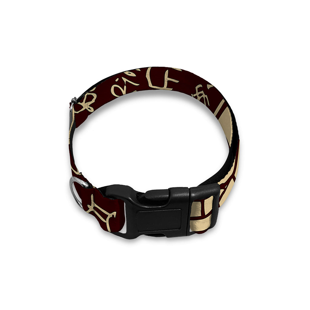 Eye of Providence Symbol Print Dog Collar