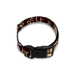 Eye of Providence Symbol Print Dog Collar