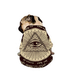 Eye of Providence Symbol Print Dog Zip Up Jacket