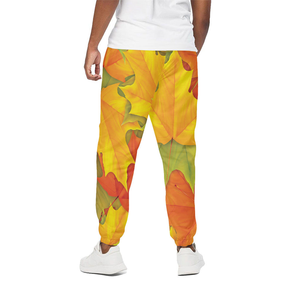 Fall Autumn Maple Leaves Print Cotton Pants