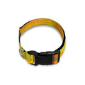 Fall Autumn Maple Leaves Print Dog Collar
