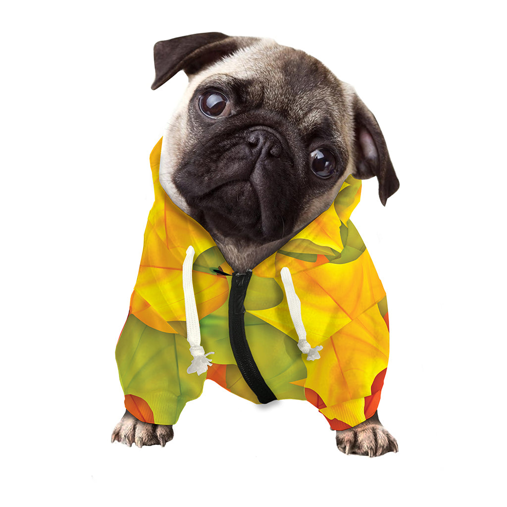 Fall Autumn Maple Leaves Print Dog Zip Up Hoodie