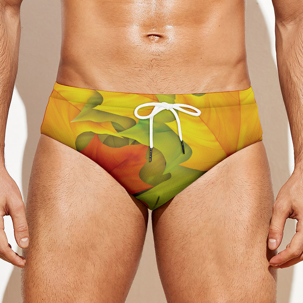 Fall Autumn Maple Leaves Print Men's Swim Briefs