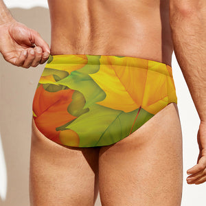 Fall Autumn Maple Leaves Print Men's Swim Briefs