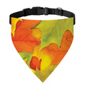Fall Autumn Maple Leaves Print Over The Collar Dog Bandana