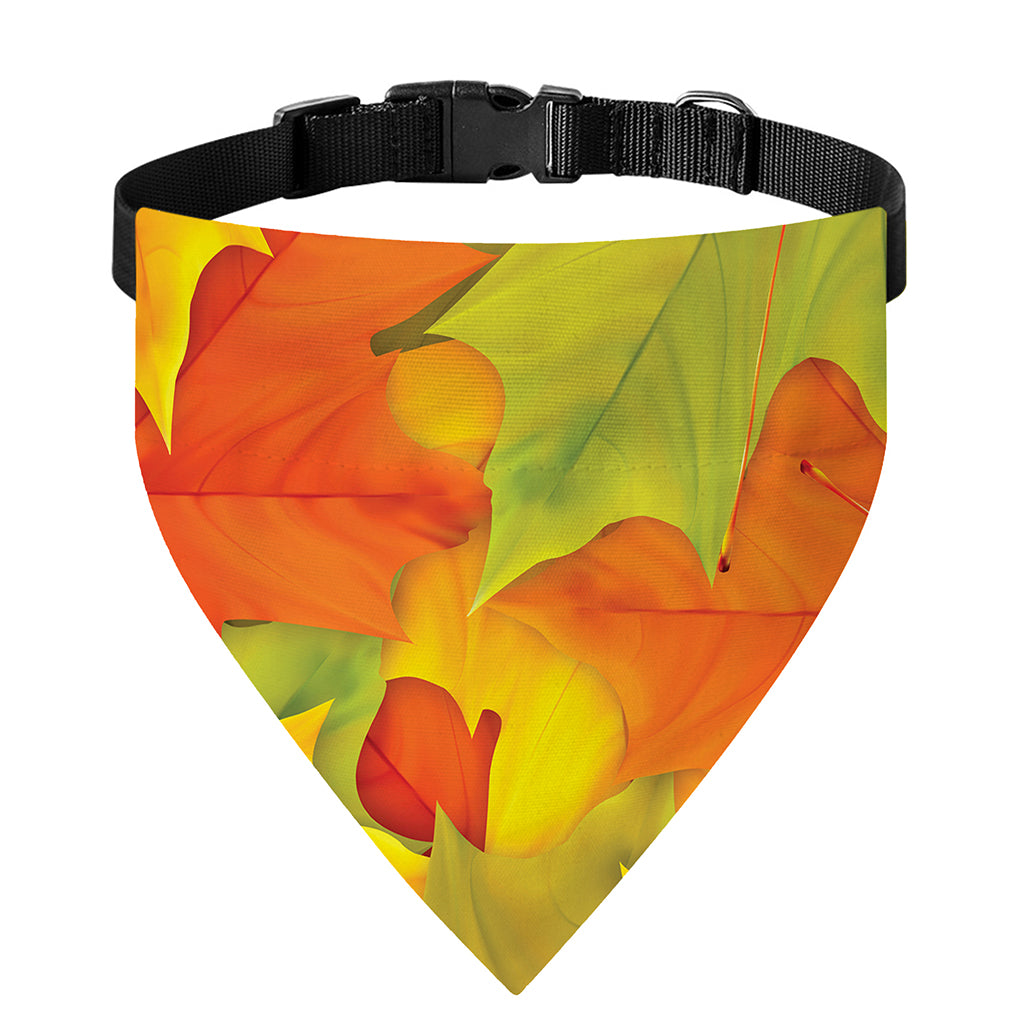 Fall Autumn Maple Leaves Print Over The Collar Dog Bandana