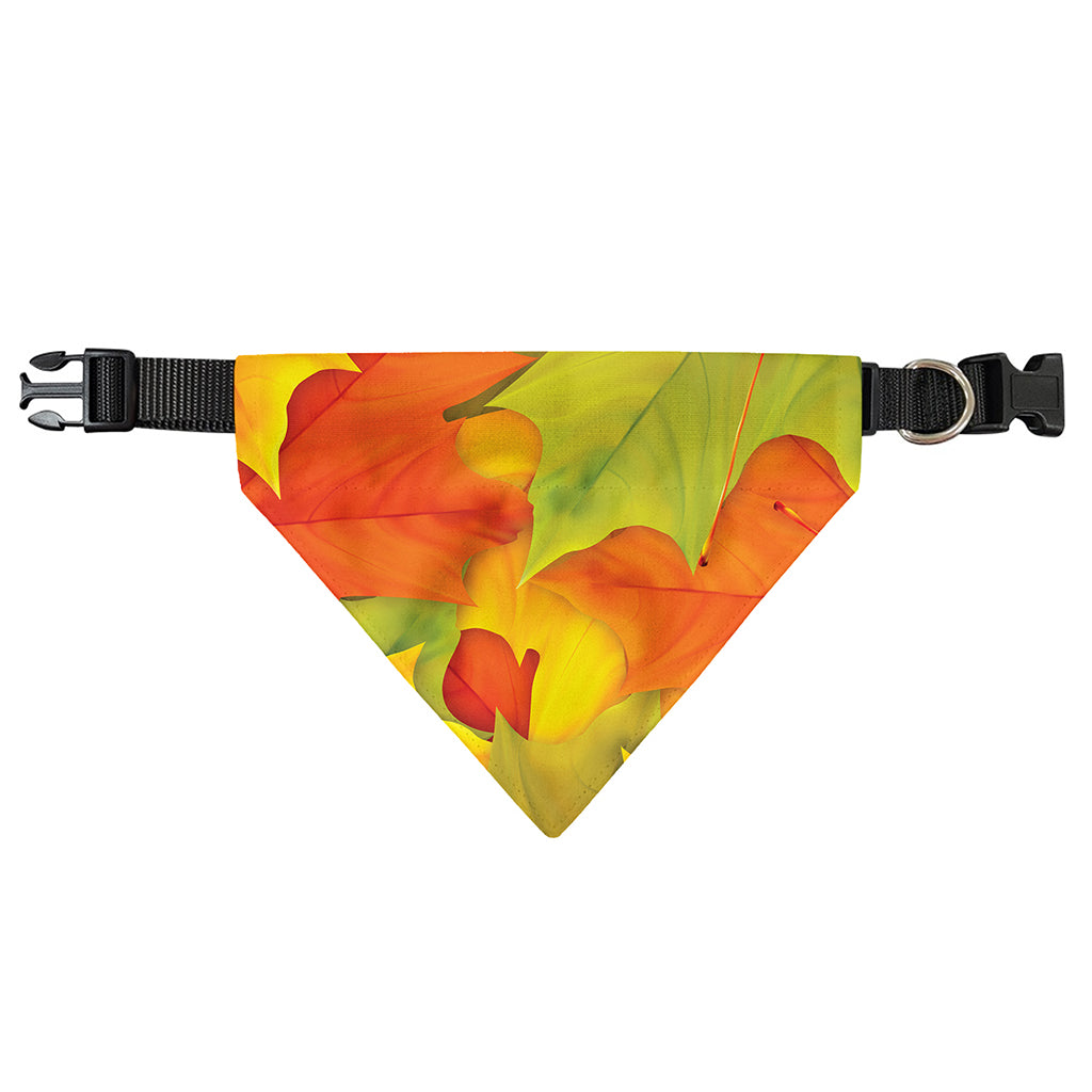 Fall Autumn Maple Leaves Print Over The Collar Dog Bandana