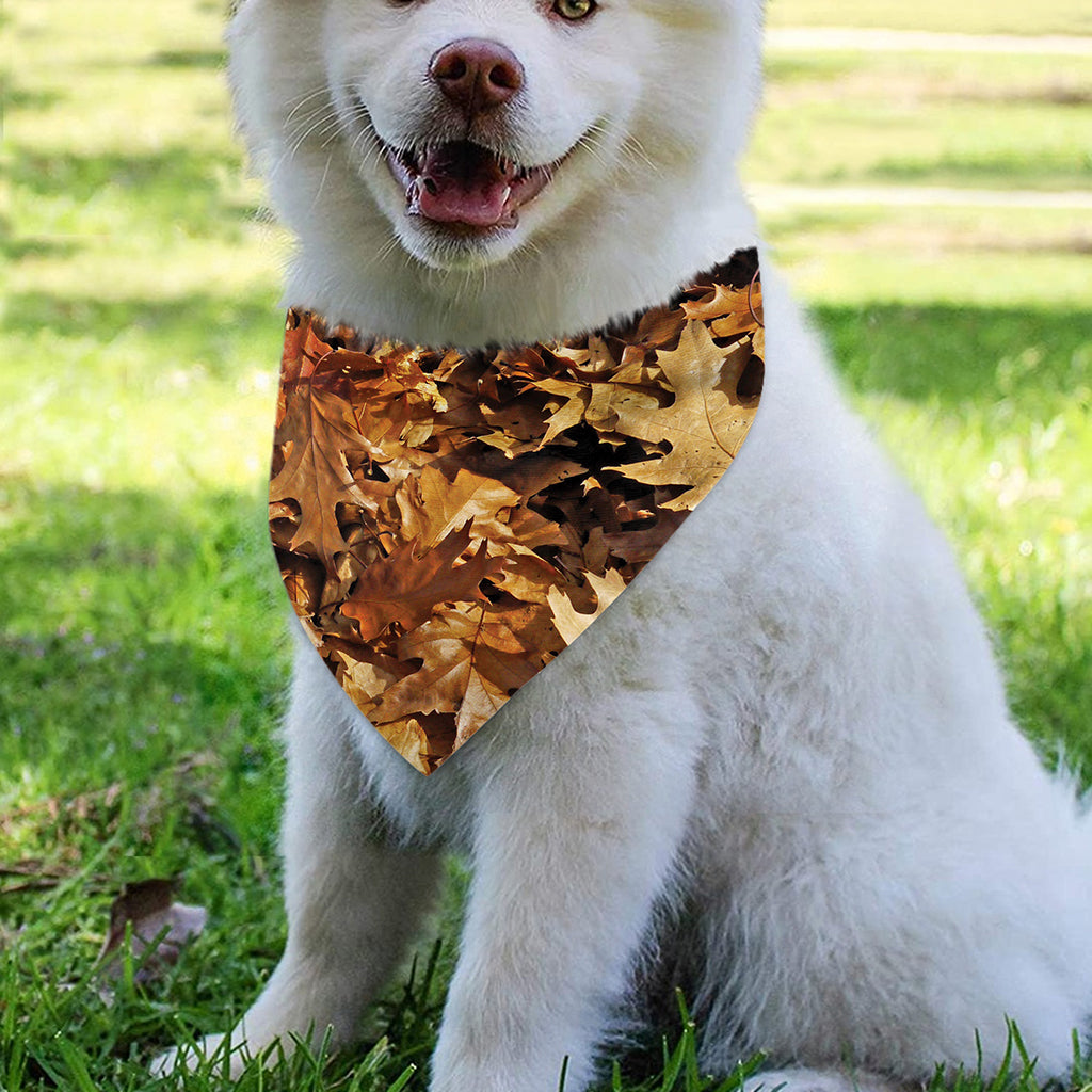 Fall Leaves Hunting Camouflage Print Over The Collar Dog Bandana