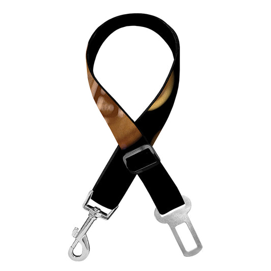 Falling Bitcoin Print Dog Seat Belt