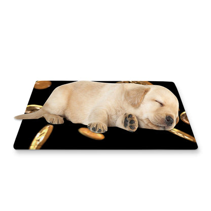 Falling Bitcoin Print Pet Cooling Mat Cover