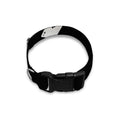 Falling Casino Card Print Dog Collar