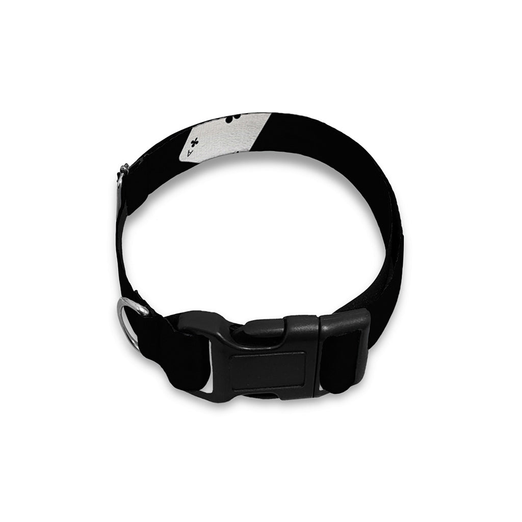 Falling Casino Card Print Dog Collar