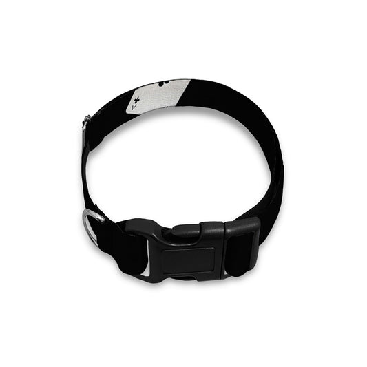 Falling Casino Card Print Dog Collar