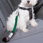 Falling Poker Cards Print Dog Seat Belt