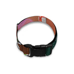 Falling Poker Chips Print Dog Collar
