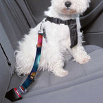 Fantastic Planets Pattern Print Dog Seat Belt