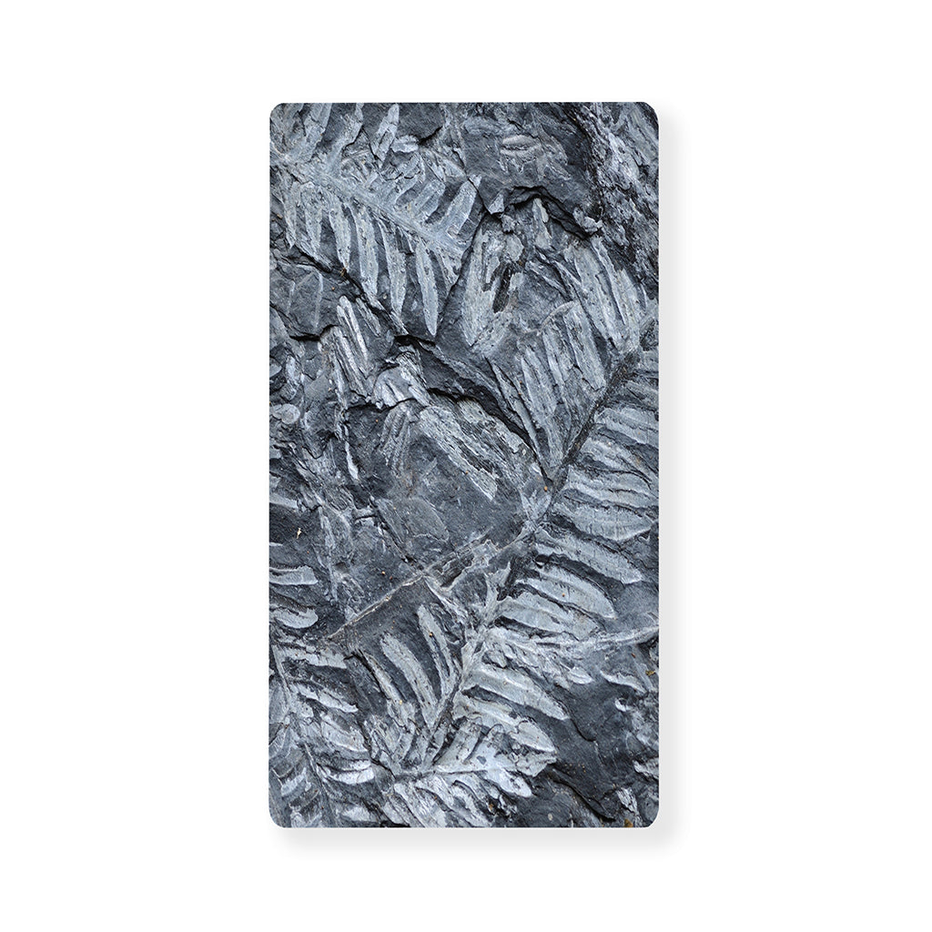 Fern Fossil Print Baby Crib Sheet
