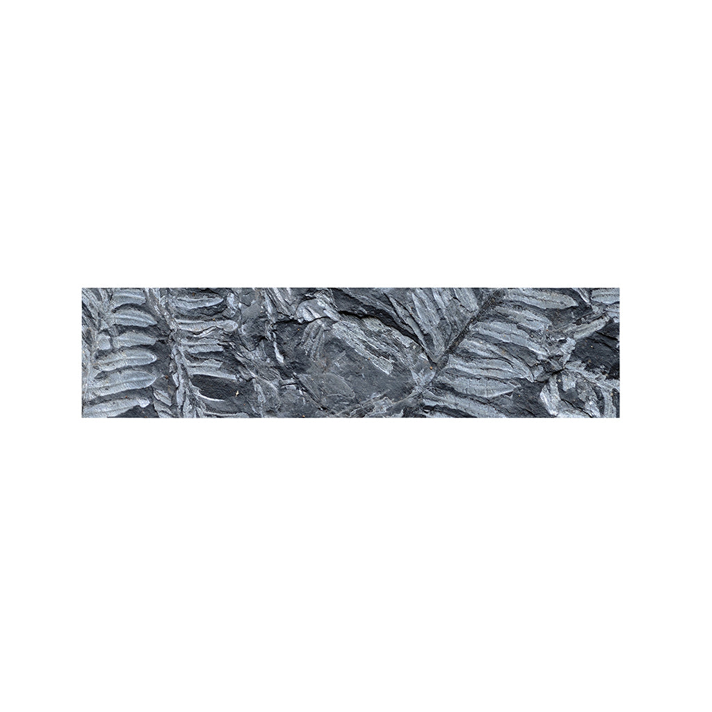 Fern Fossil Print Bed Runner