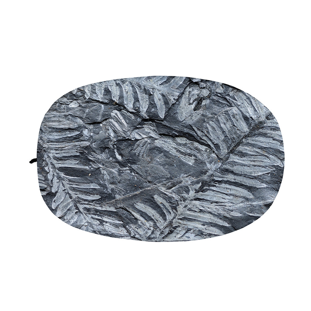 Fern Fossil Print Car Side Mirror Covers