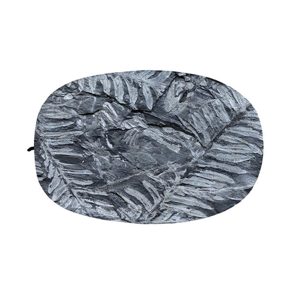 Fern Fossil Print Car Side Mirror Covers