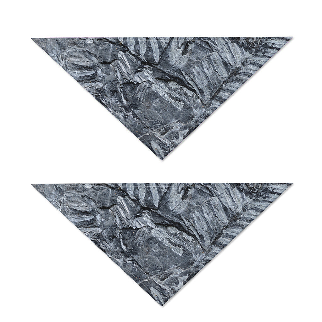 Fern Fossil Print Dog Bandana