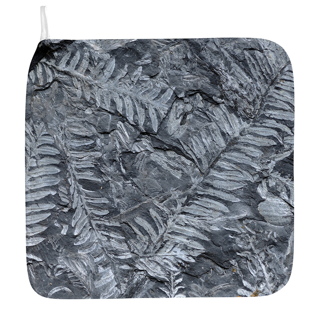 Fern Fossil Print Hand Towel