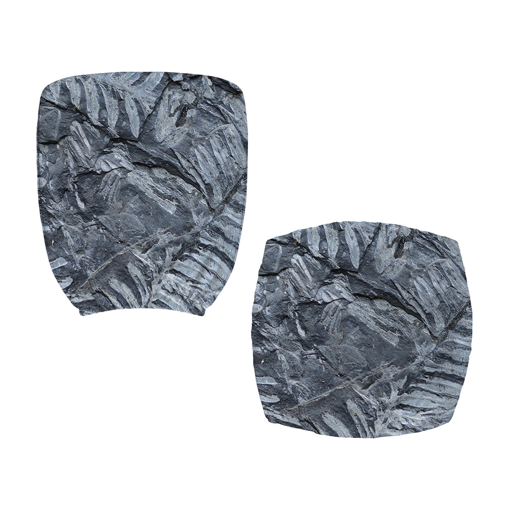 Fern Fossil Print Office Chair Cover