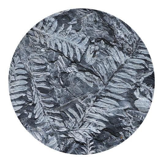 Fern Fossil Print Round Blanket