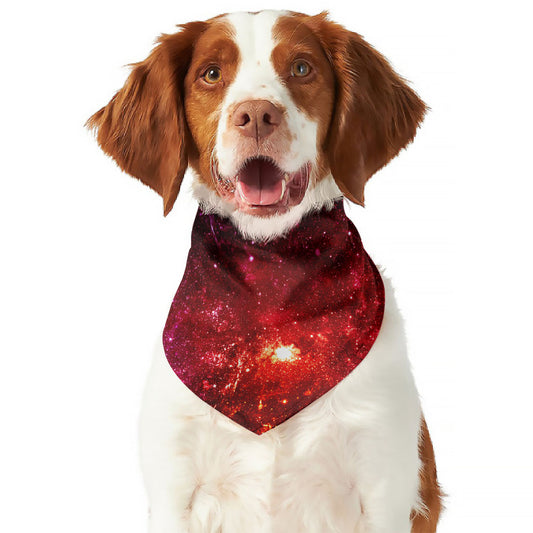 Fiery Nebula Universe Galaxy Space Print Dog Bandana