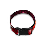 Fiery Nebula Universe Galaxy Space Print Dog Collar
