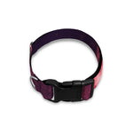 Fiery Star of David Print Dog Collar