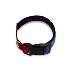 Fiery Universe Nebula Galaxy Space Print Dog Collar