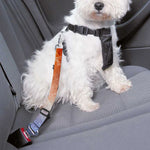 Fiery Universe Nebula Galaxy Space Print Dog Seat Belt