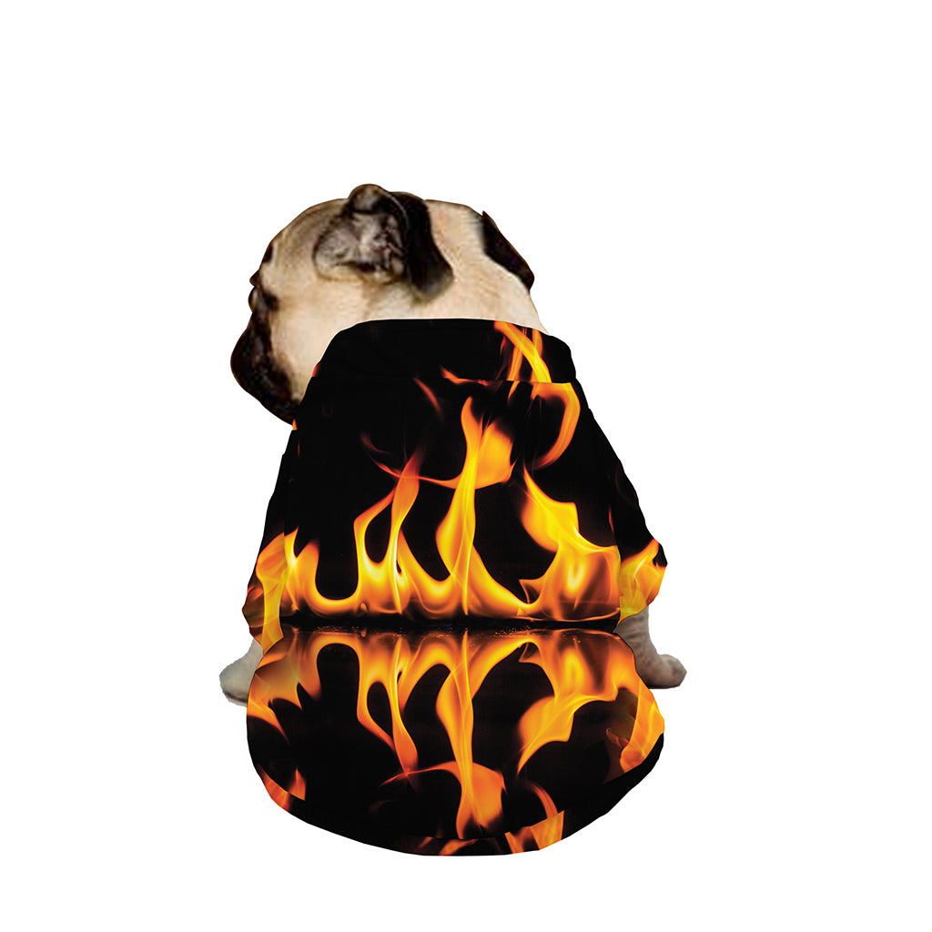 Fire Flame Burning Print Dog Zip Up Jacket